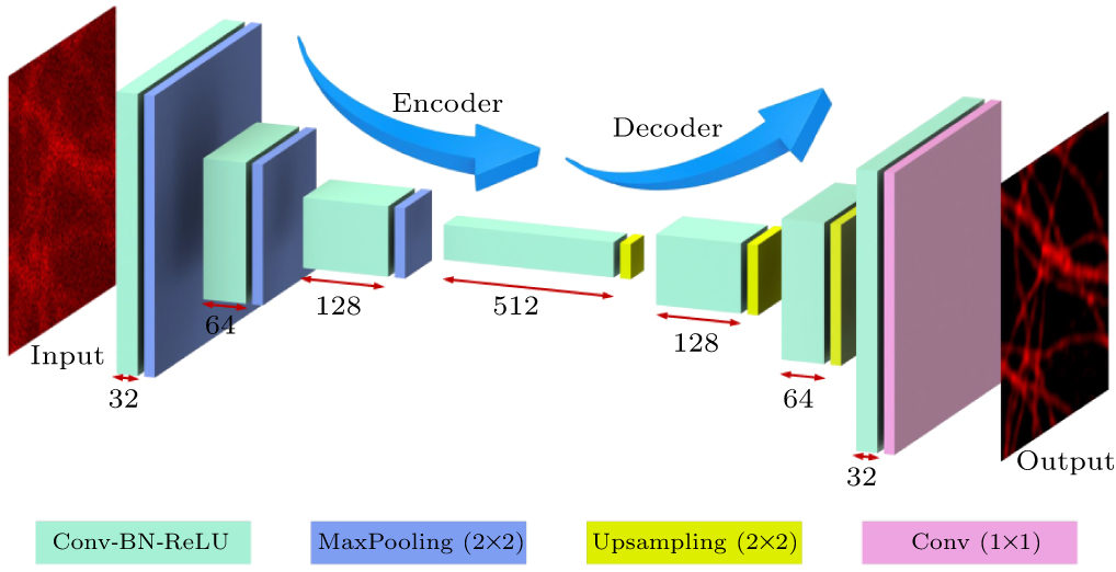 Deep learning facilitated whole live cell fast super-resolution imaging ...