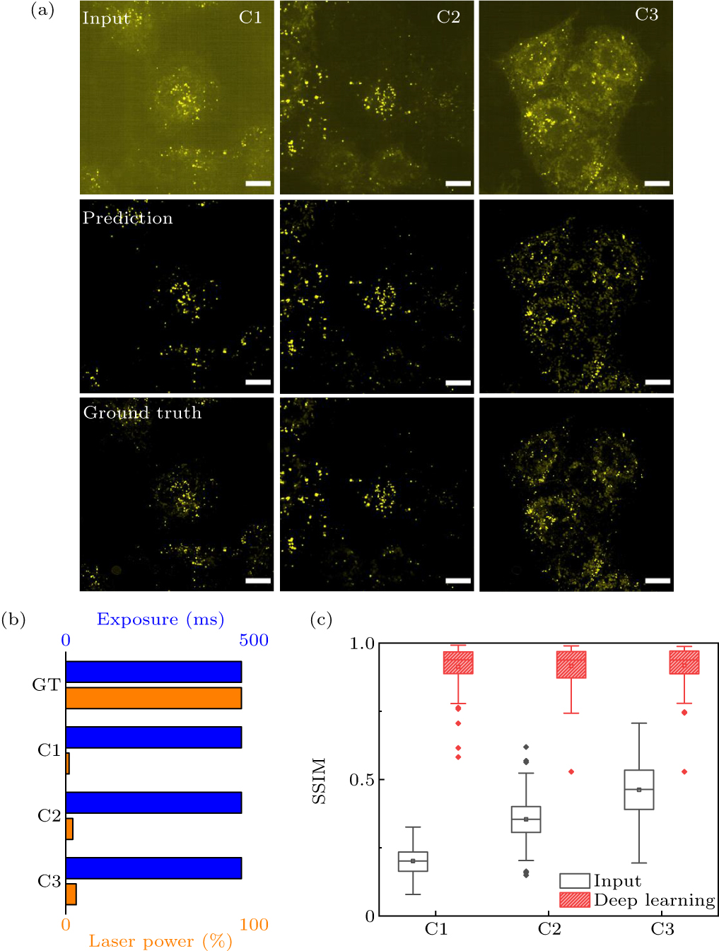 Deep learning facilitated whole live cell fast super-resolution imaging ...