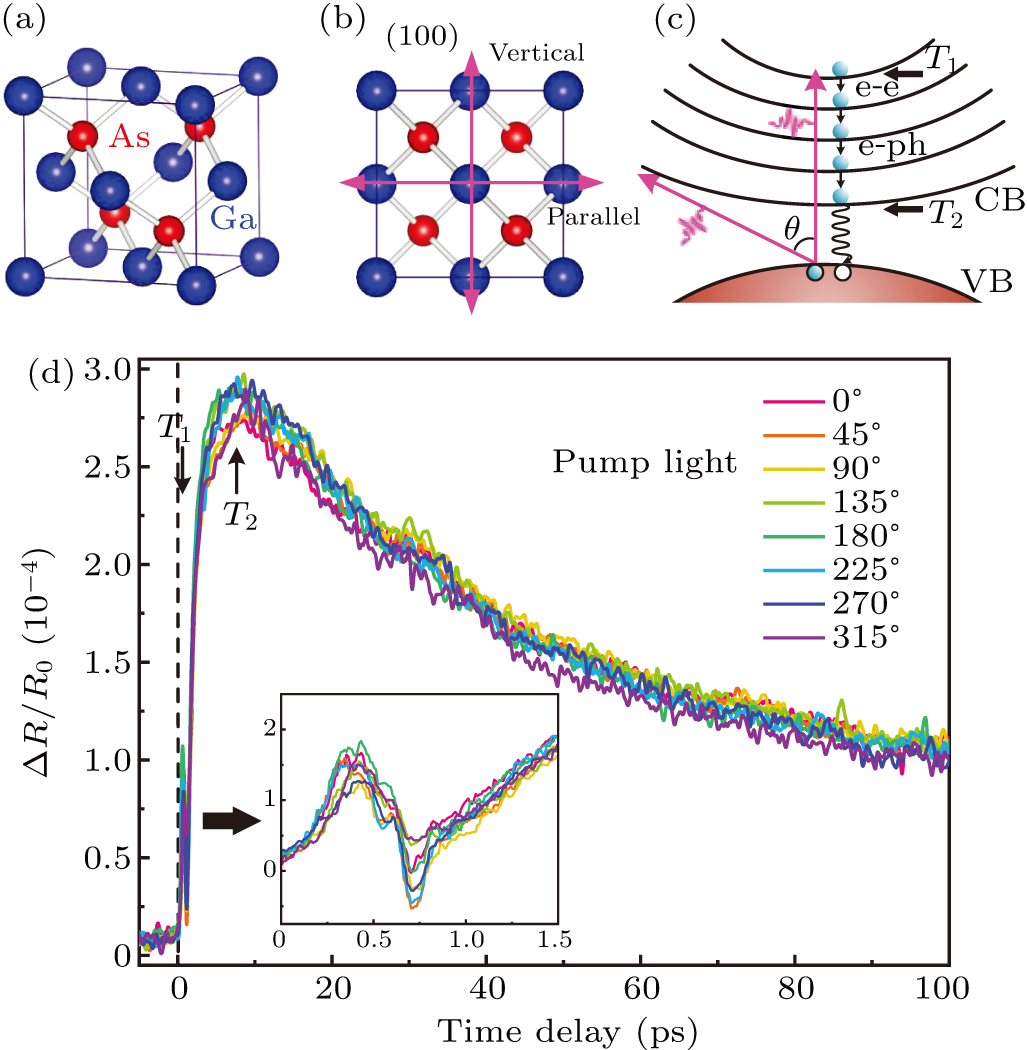 Polarization-dependent ultrafast carrier dynamics in GaAs with ...