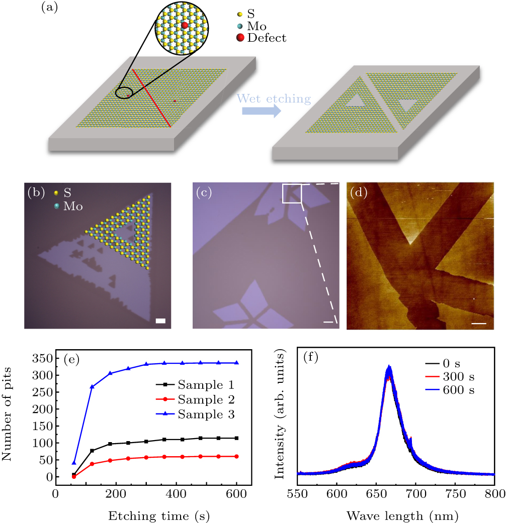 Direct visualization of structural defects in 2D semiconductors ...