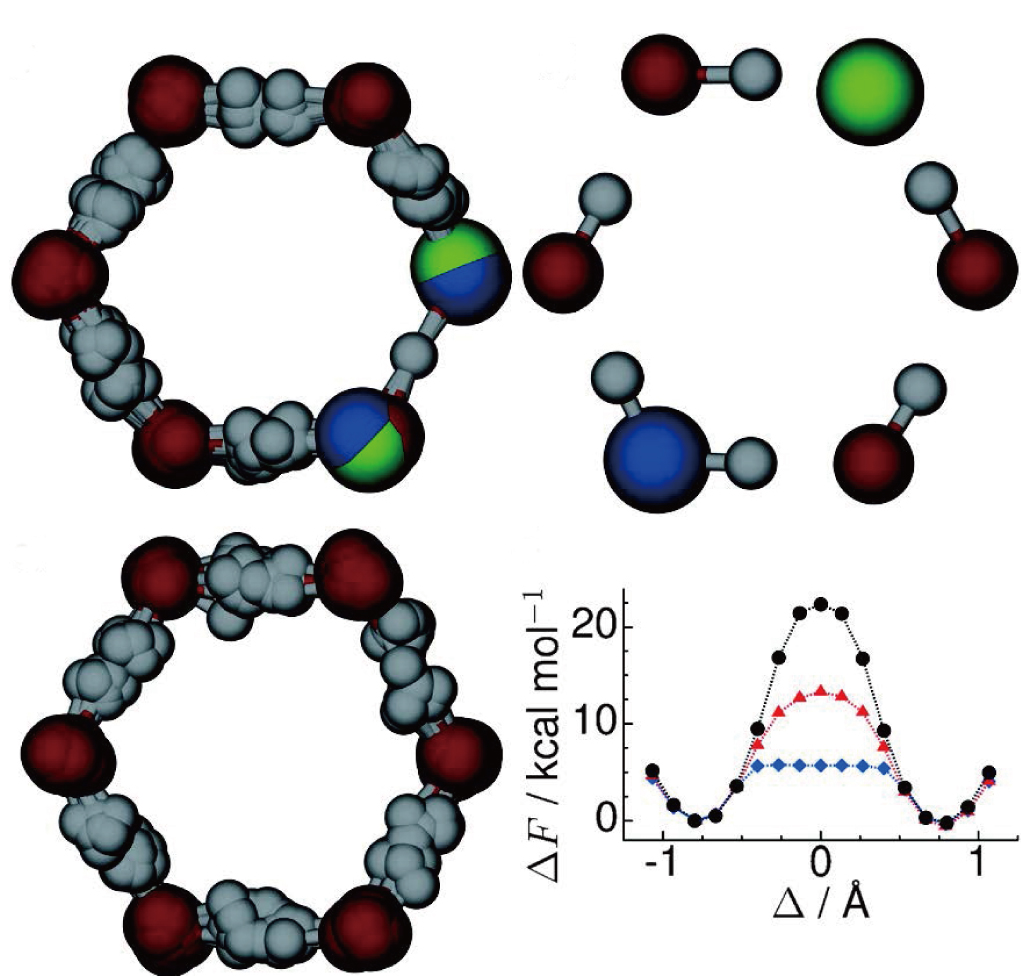 Concerted versus stepwise mechanisms of cyclic proton transfer ...