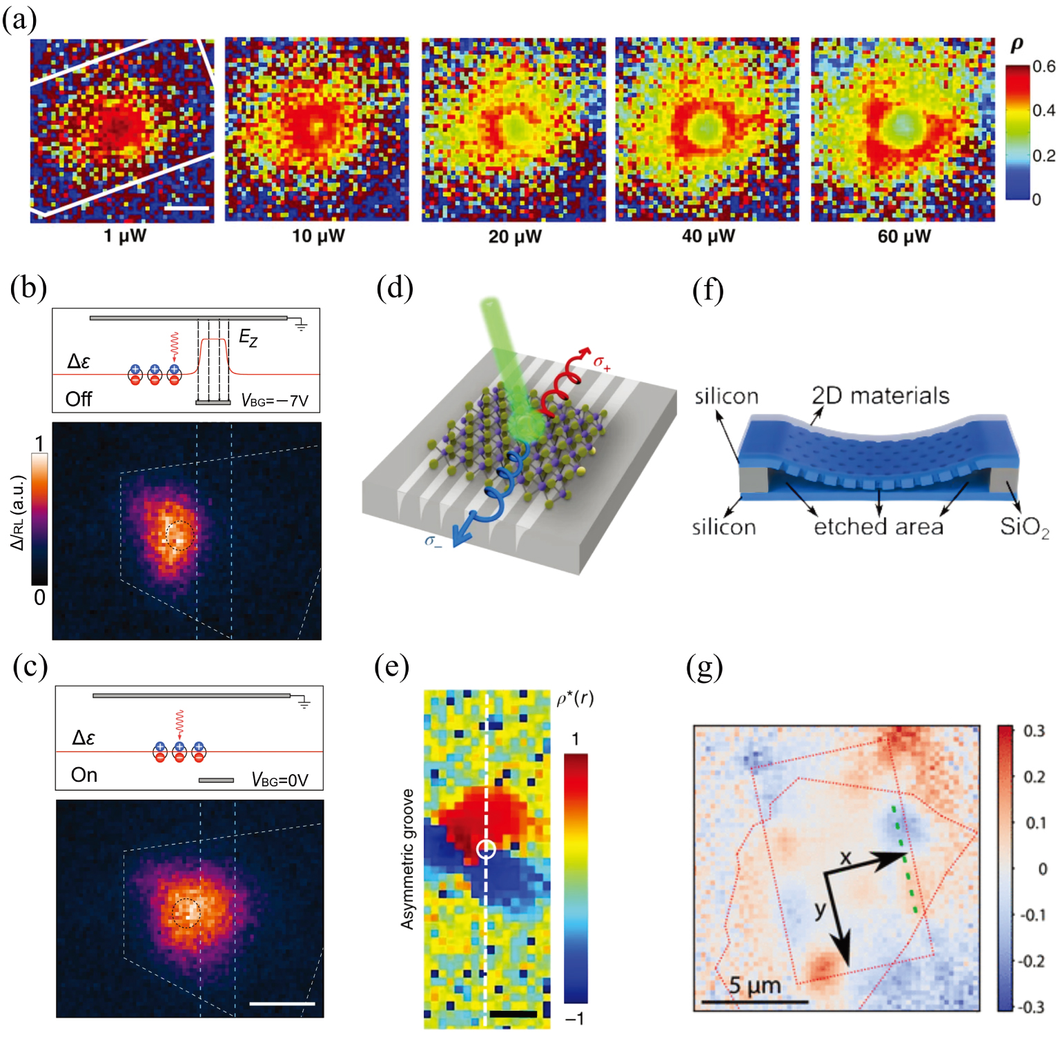 Valley polarization in transition metal dichalcogenide layered ...