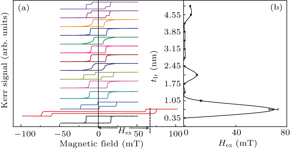 Investigation of magnetization reversal and domain structures in ...