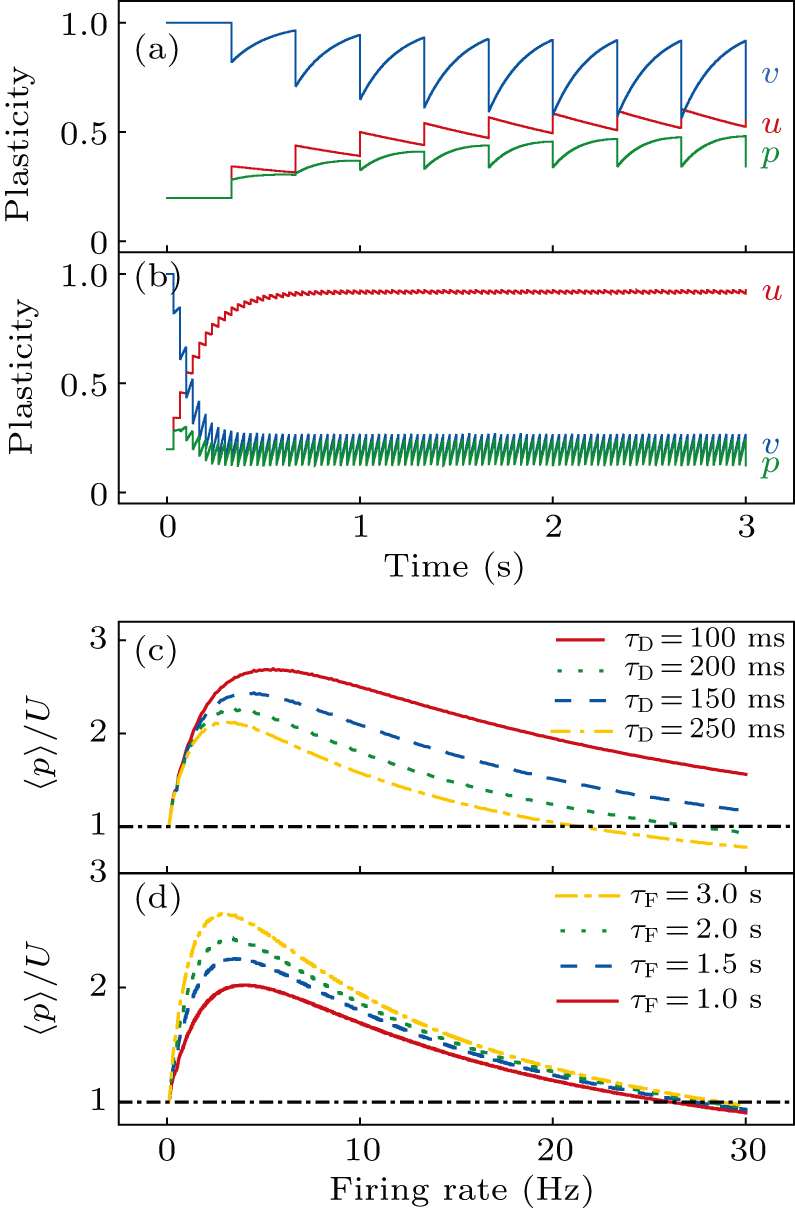 Effect of short-term plasticity on working memory - IOPscience
