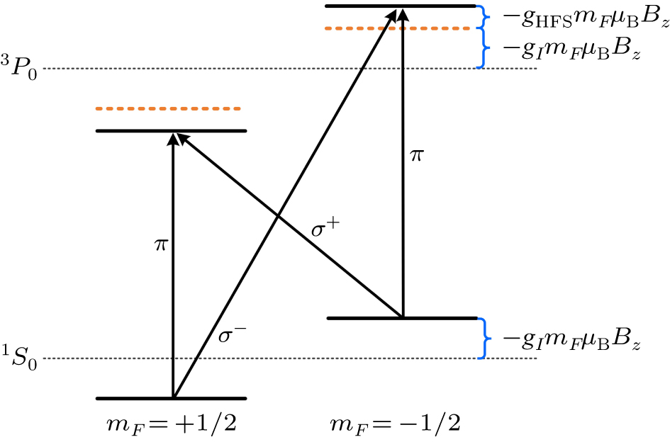 Precise measurement of 171Yb magnetic constants for 1 S 0–3 P 0 clock ...