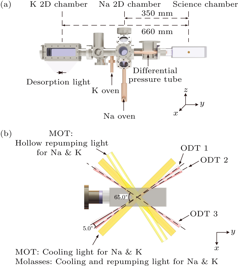 Quantum degenerate Bose-Fermi atomic gas mixture of 23Na and