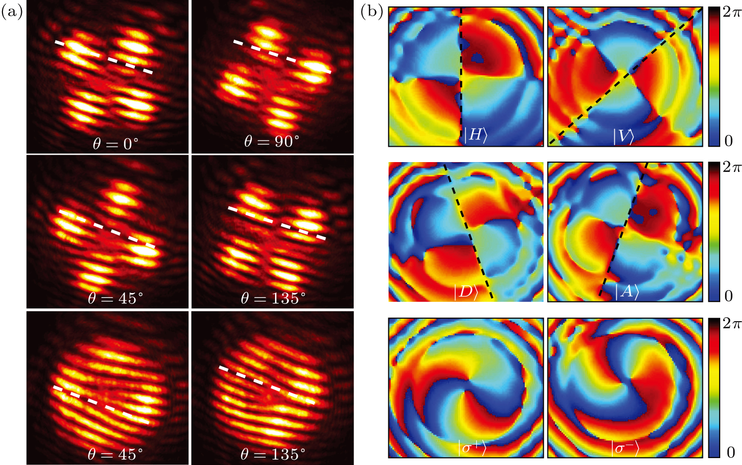 Atomic optical spatial mode extractor for vector beams based on ...