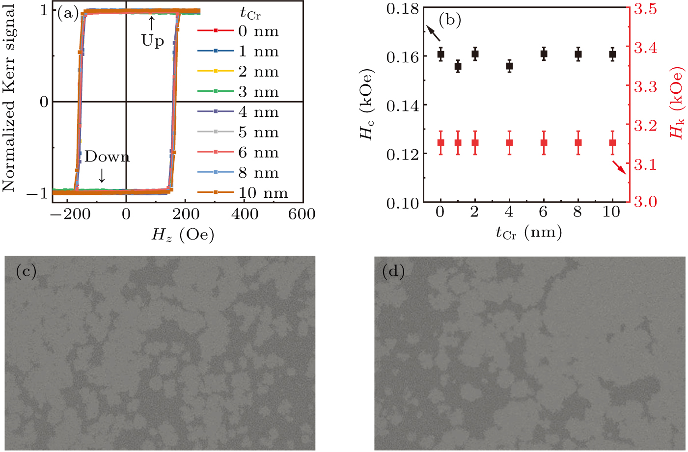 Orbital torque of Cr-induced magnetization switching in perpendicularly ...