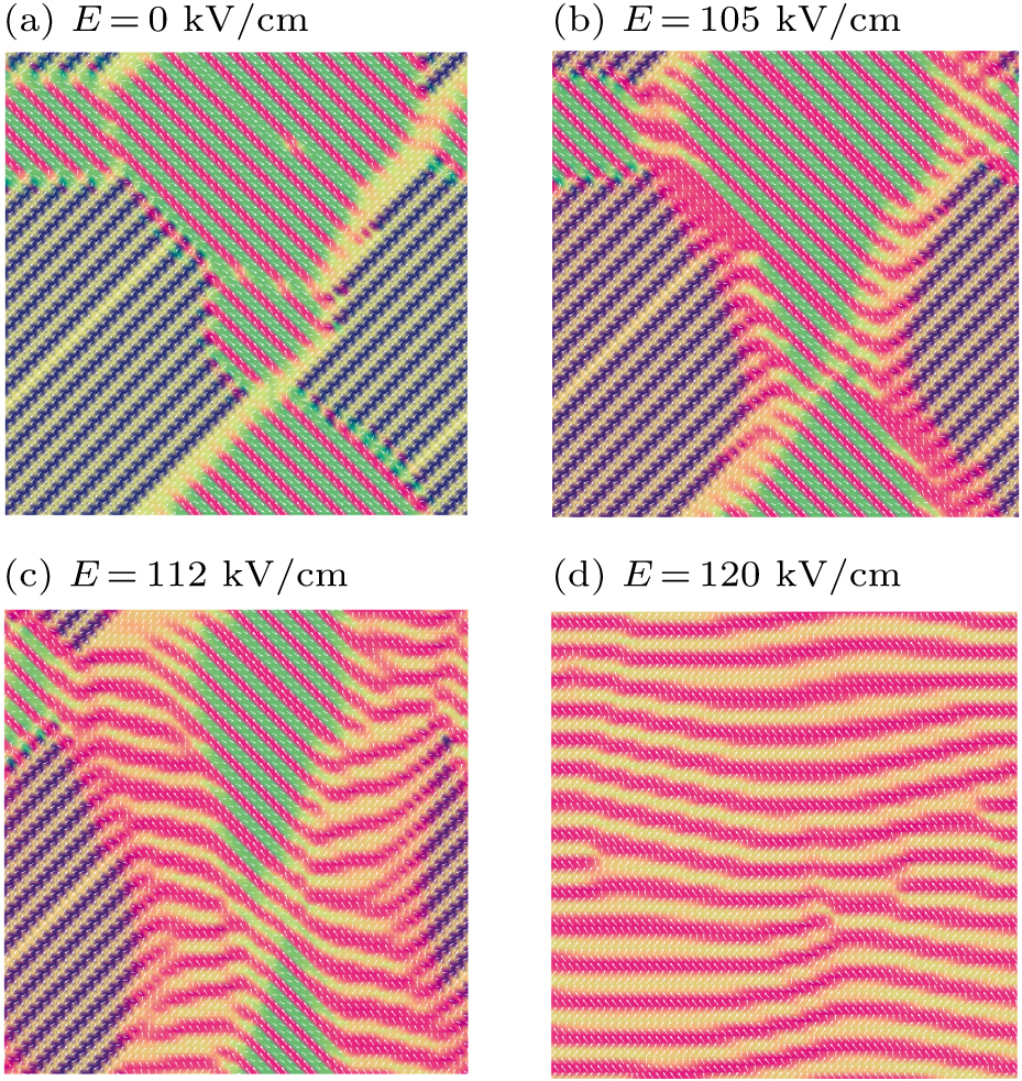 Domain size and charge defects affecting the polarization switching of ...