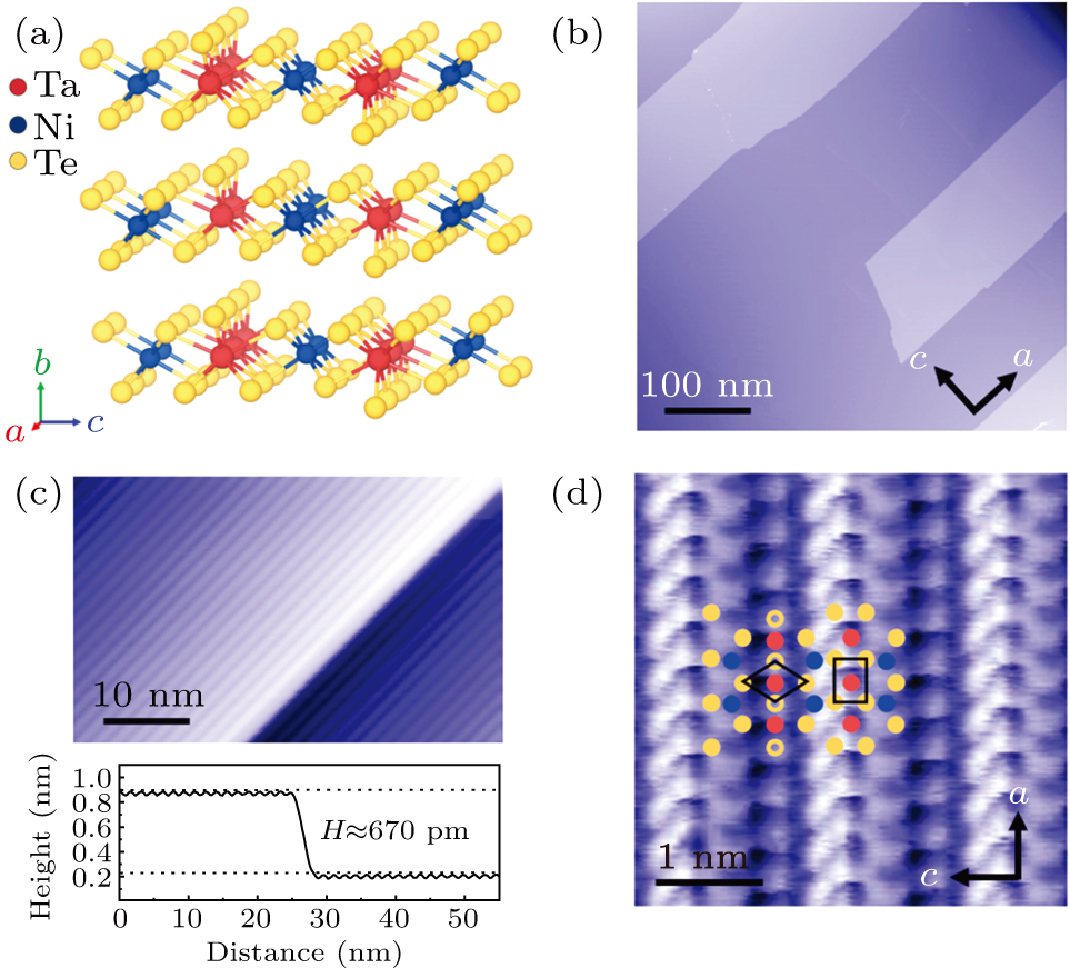 Quasi-one-dimensional characters in topological semimetal