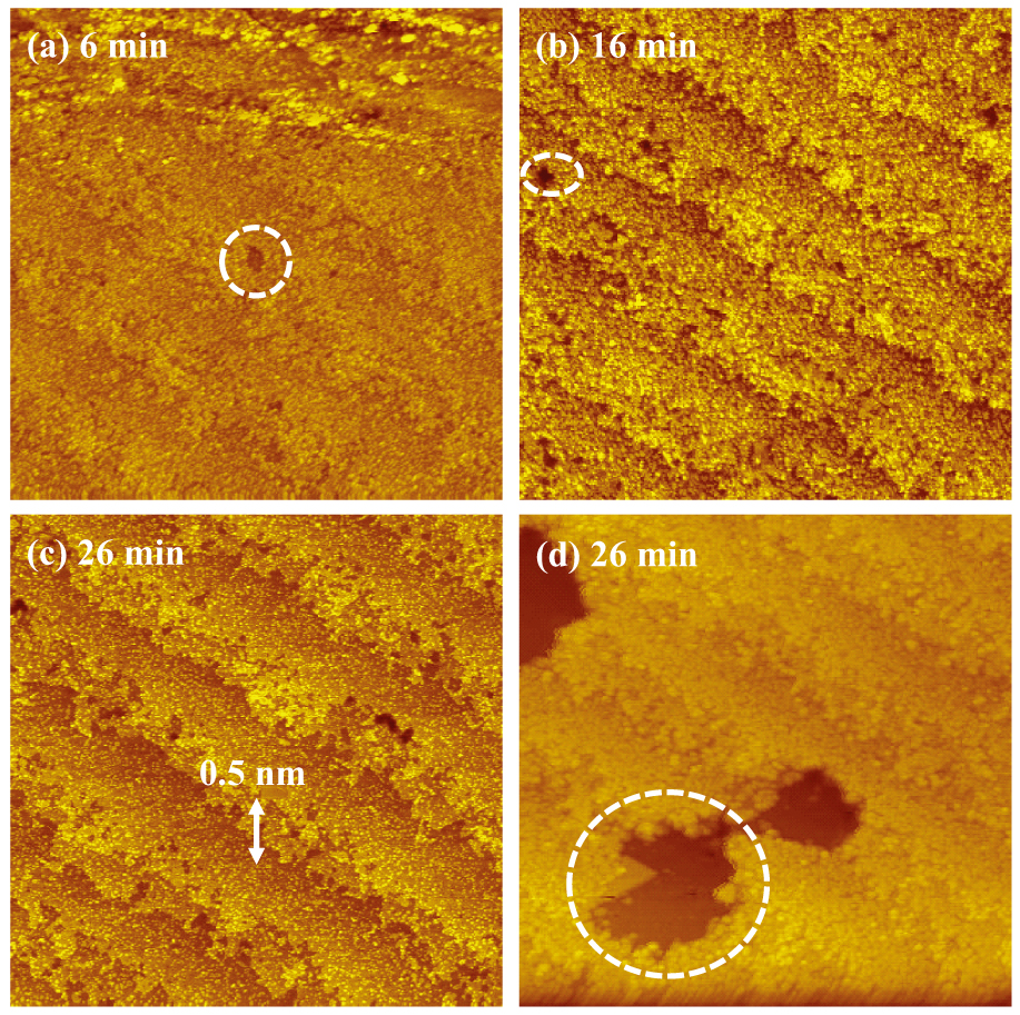 Morphological features and nanostructures generated during SiC ...