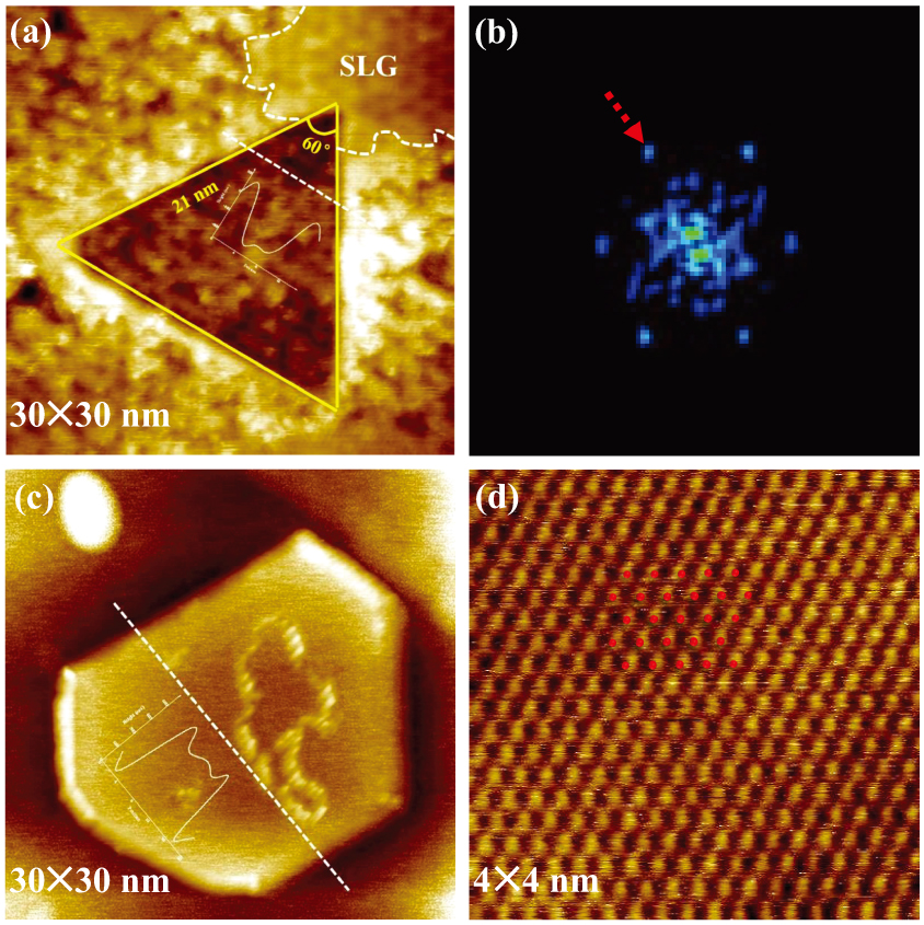 Morphological features and nanostructures generated during SiC ...