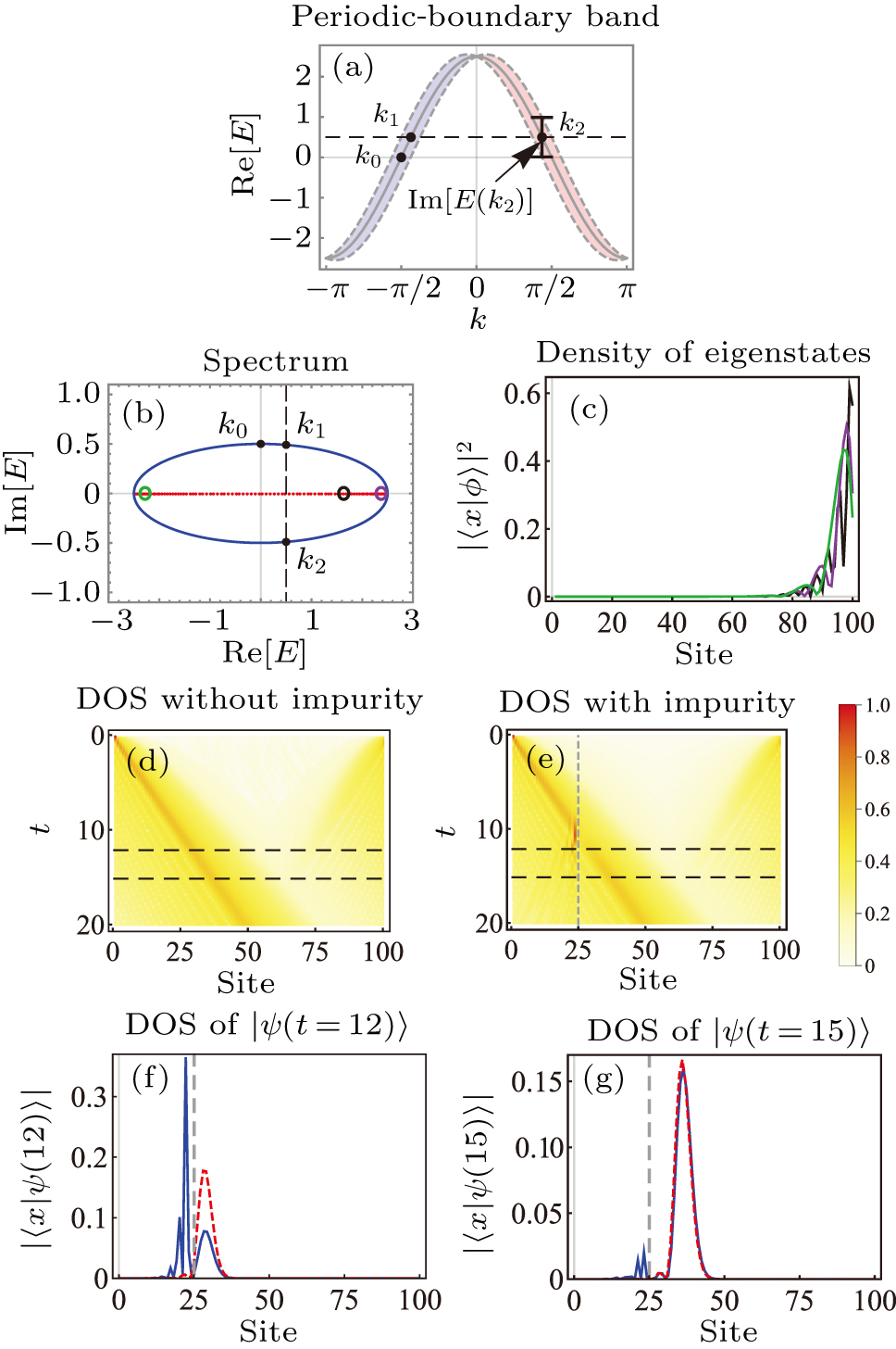 Anomalous non-Hermitian dynamical phenomenon on the quantum circuit ...