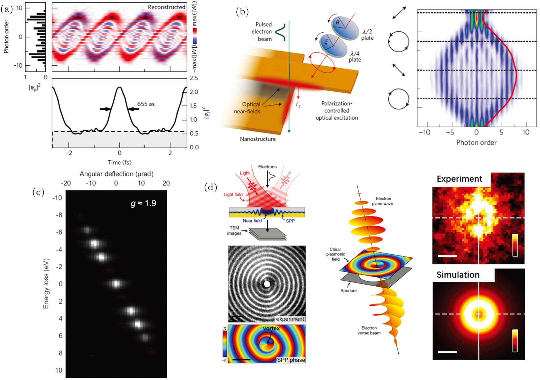 Capturing the non-equilibrium state in light–matter–free-electron ...