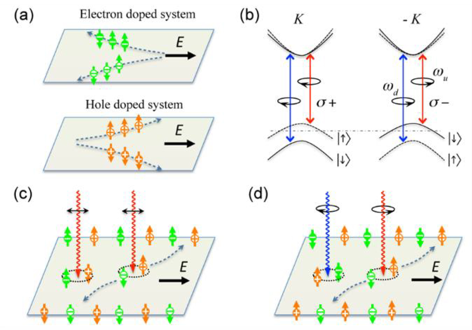 Recent progress on valley polarization and valley-polarized topological ...