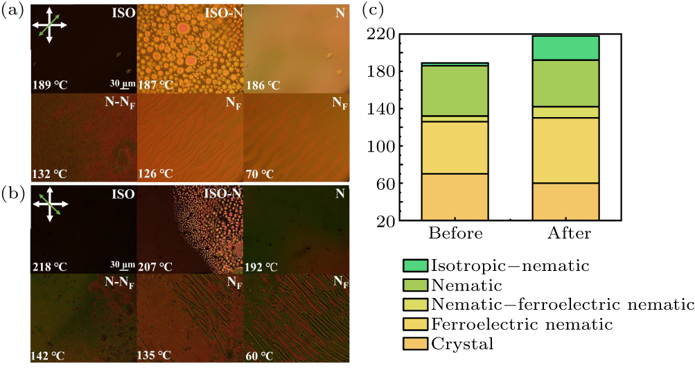 Liquid crystal droplets formation and stabilization during phase ...