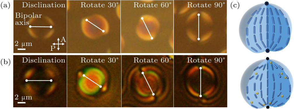 Liquid crystal droplets formation and stabilization during phase ...