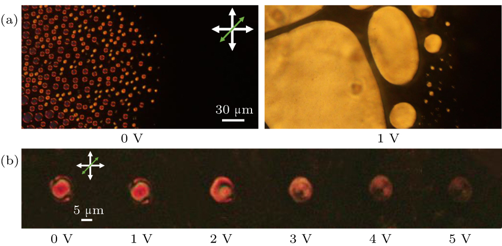 Liquid crystal droplets formation and stabilization during phase ...