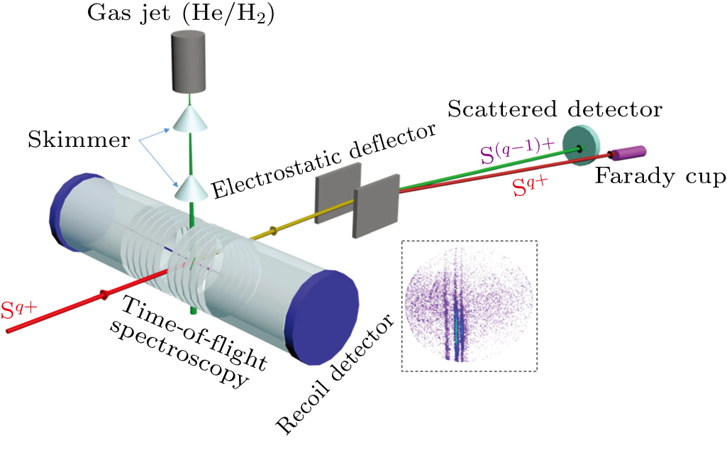 State-selective charge exchange cross sections in collisions of highly ...