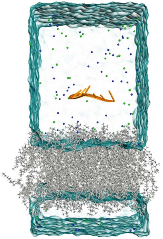 Molecular dynamics simulations on the interactions between nucleic ...