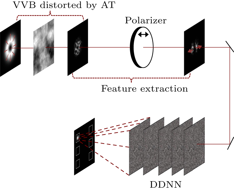 Diffraction deep neural network-based classification for vector vortex ...