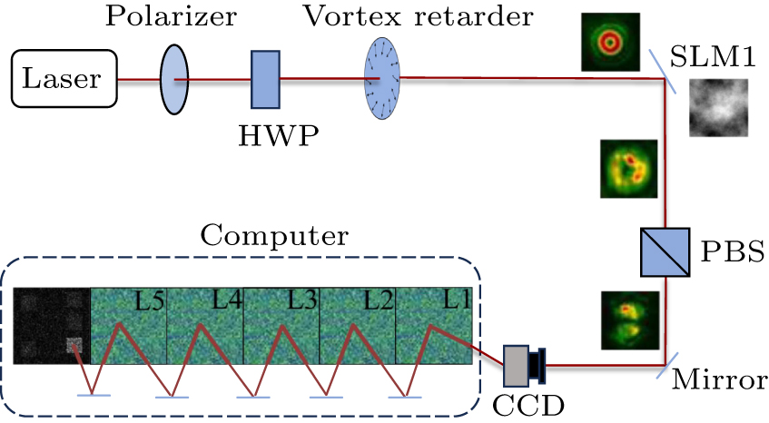 Diffraction deep neural network-based classification for vector vortex ...