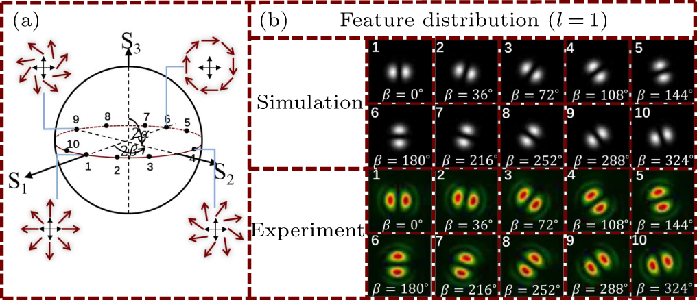 Diffraction deep neural network-based classification for vector vortex ...