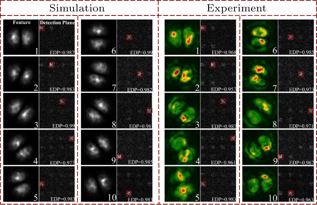 Diffraction deep neural network-based classification for vector vortex ...