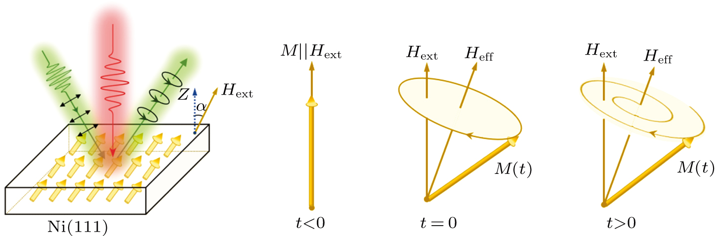 Ultra Fast Reflectivity Ultrafast magneto-optical dynamics in nickel (111) single crystal ...