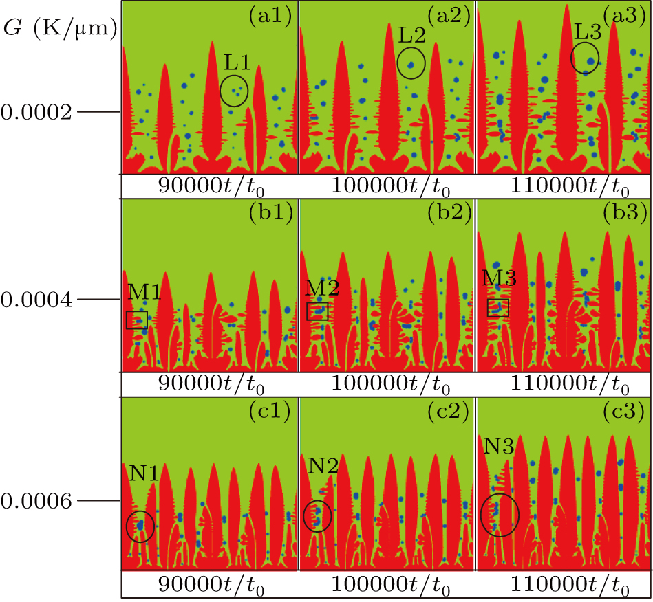 Exploration of the coupled lattice Boltzmann model based on a ...