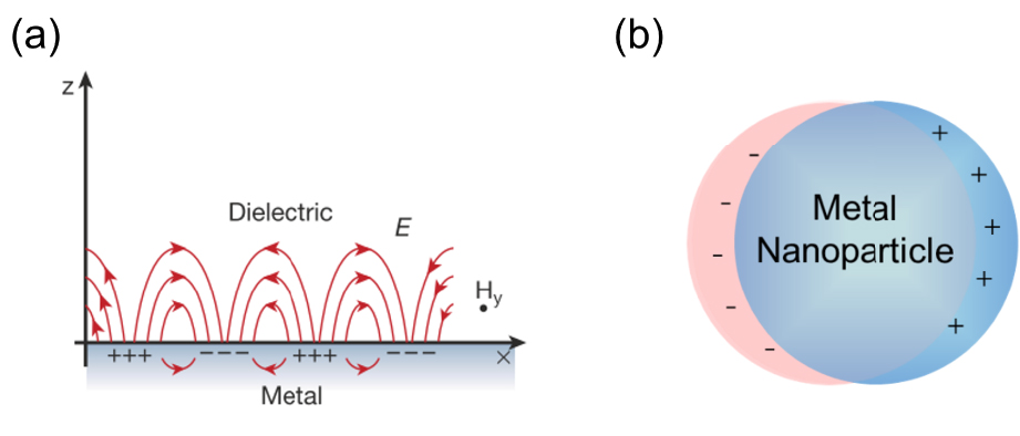 語学+参考書 Near-field Nano/Atom Optics and Technology Near-field Nano/Atom Optics and Technology von Motoichi