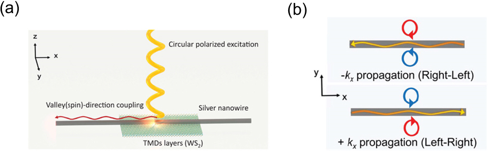 語学+参考書 Near-field Nano/Atom Optics and Technology