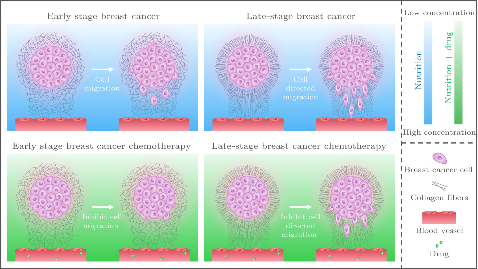 Estimation of cancer cell migration in biomimetic random/oriented ...