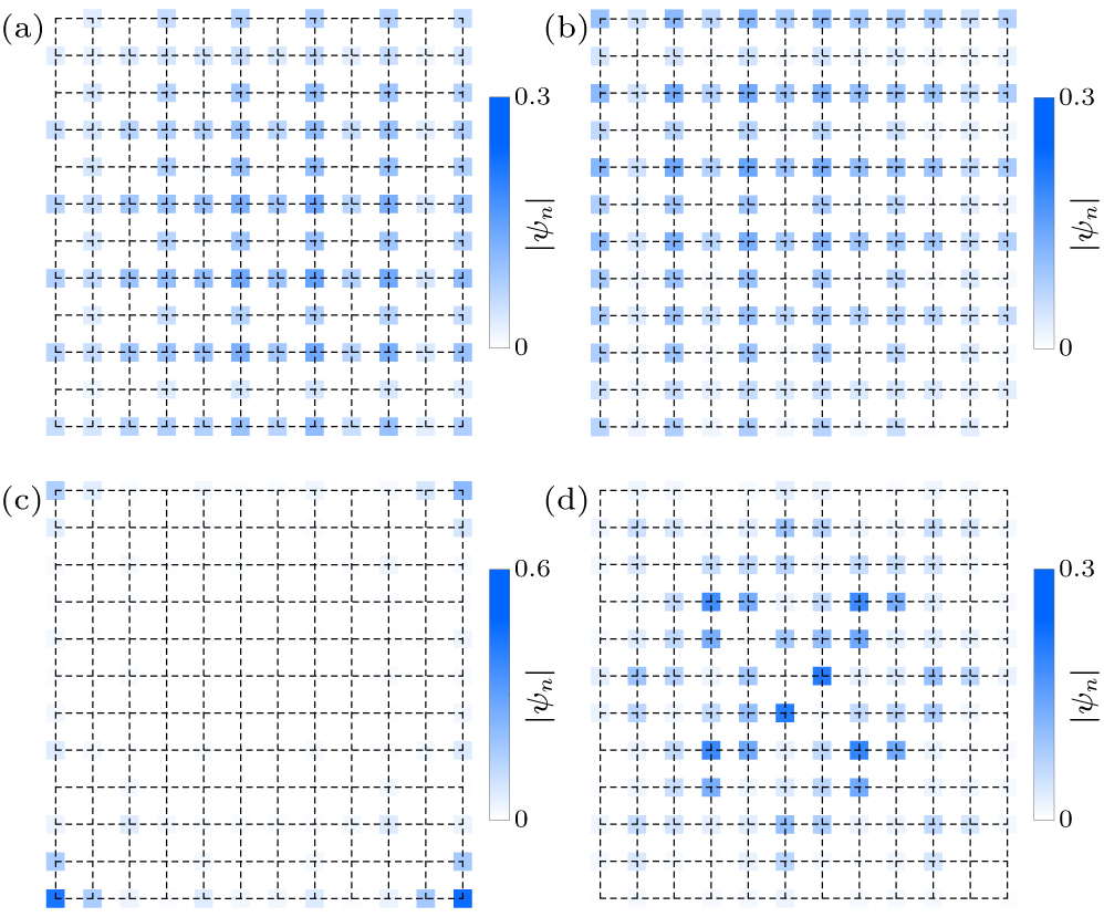 Topological laser on square lattice with gain–loss-induced higher-order ...