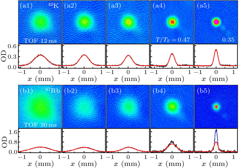 Optimal preparation of Bose and Fermi atomic gas mixtures of 87Rb and ...