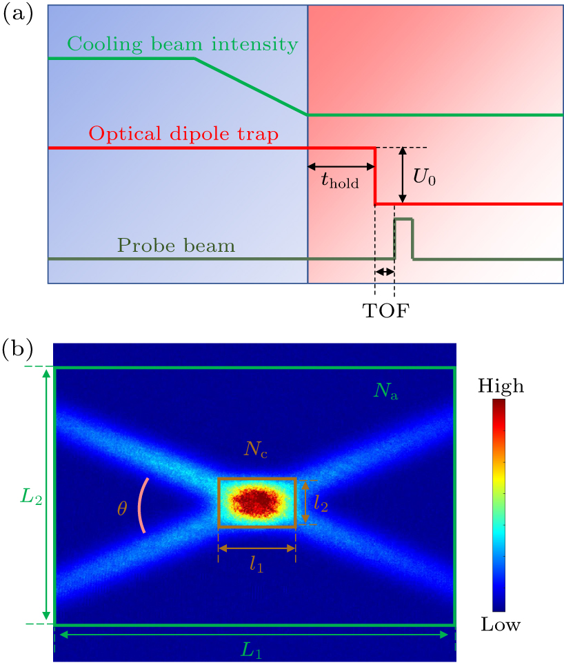 Atomic transport dynamics in crossed optical dipole trap - IOPscience