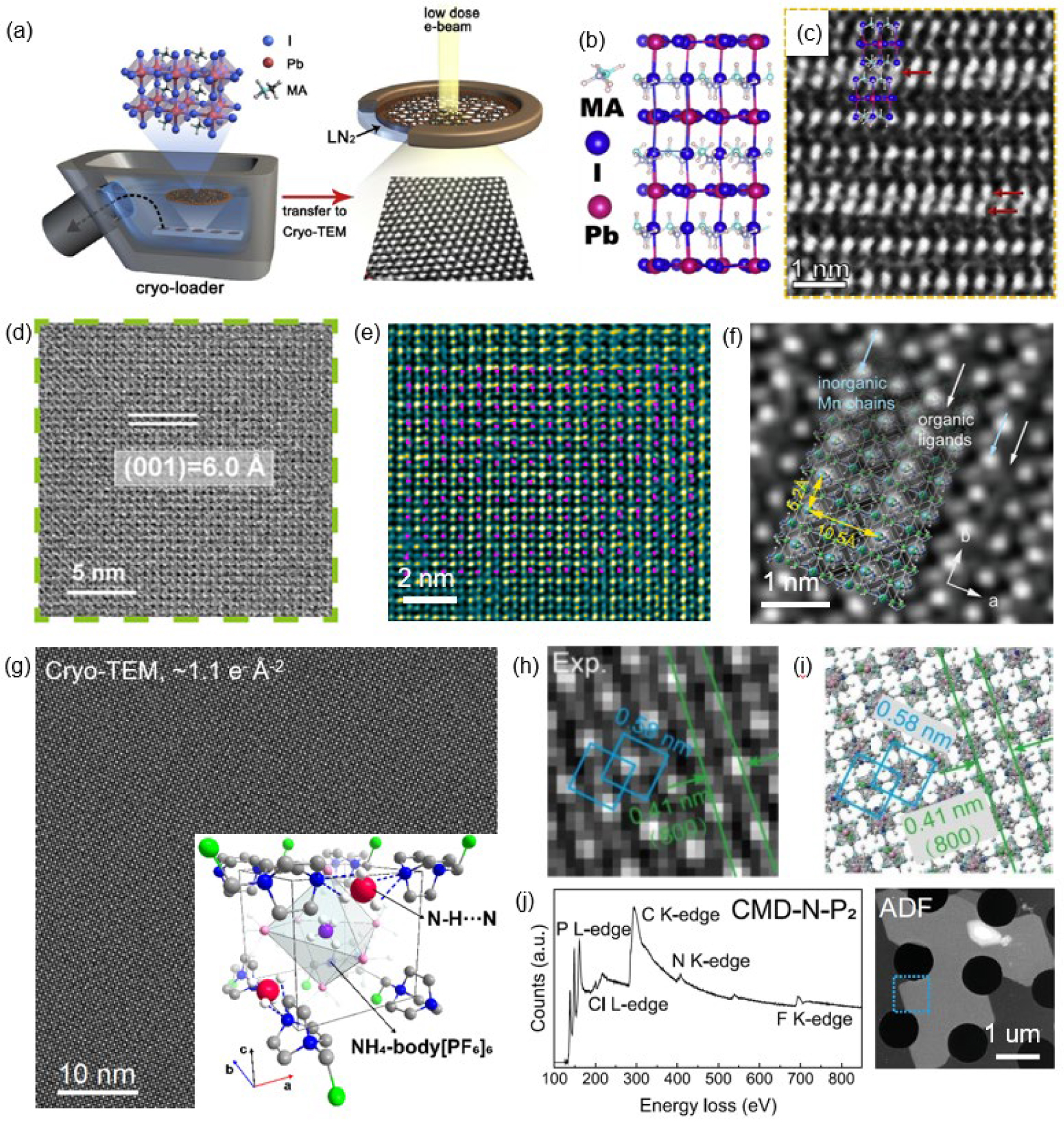 Cryogenic transmission electron microscopy on beam-sensitive materials ...