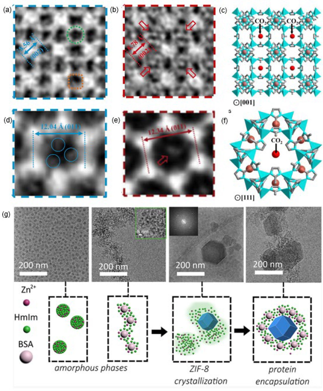 Cryogenic transmission electron microscopy on beam-sensitive materials ...