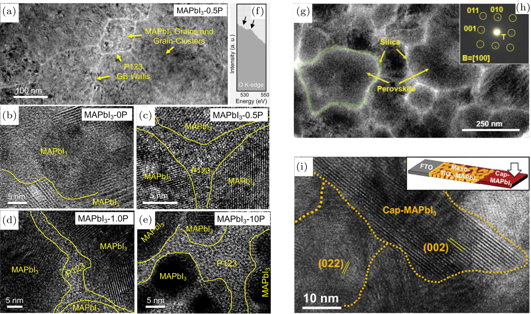 Revealing the microstructures of metal halide perovskite thin films via ...