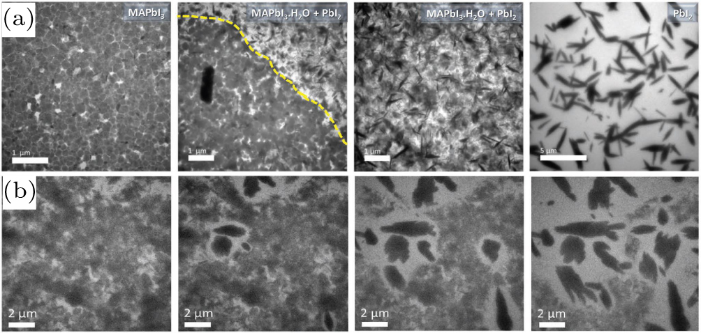 Revealing the microstructures of metal halide perovskite thin films via ...