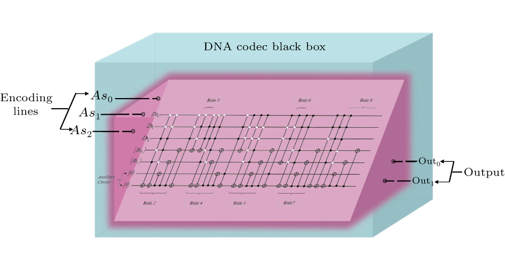 Quantum color image encryption: Dual scrambling scheme based on DNA ...