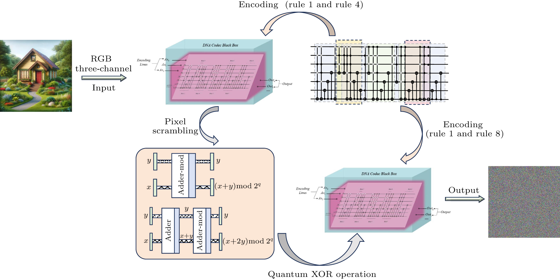Quantum color image encryption: Dual scrambling scheme based on DNA ...