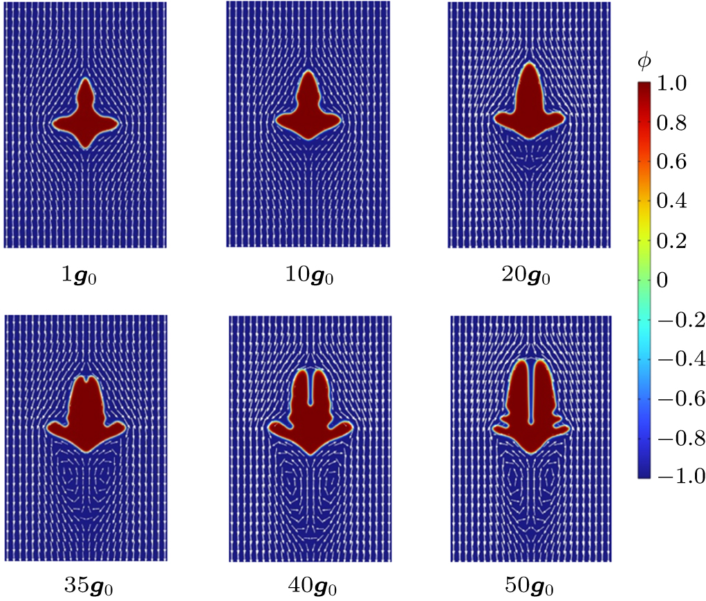 Phase-field simulation dendritic growth under forced convection with ...