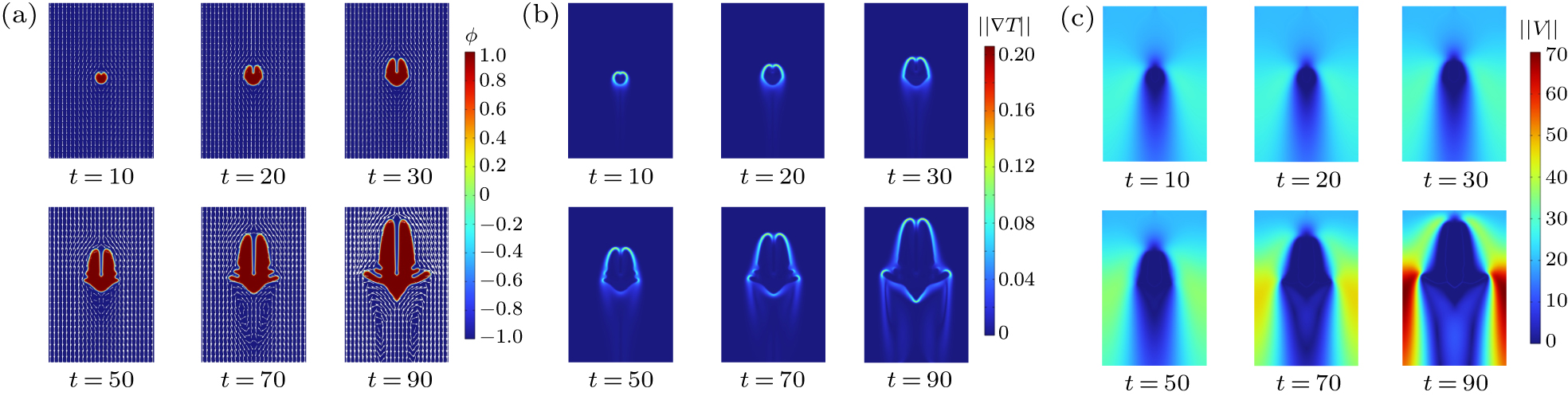 Phase-field simulation dendritic growth under forced convection with ...