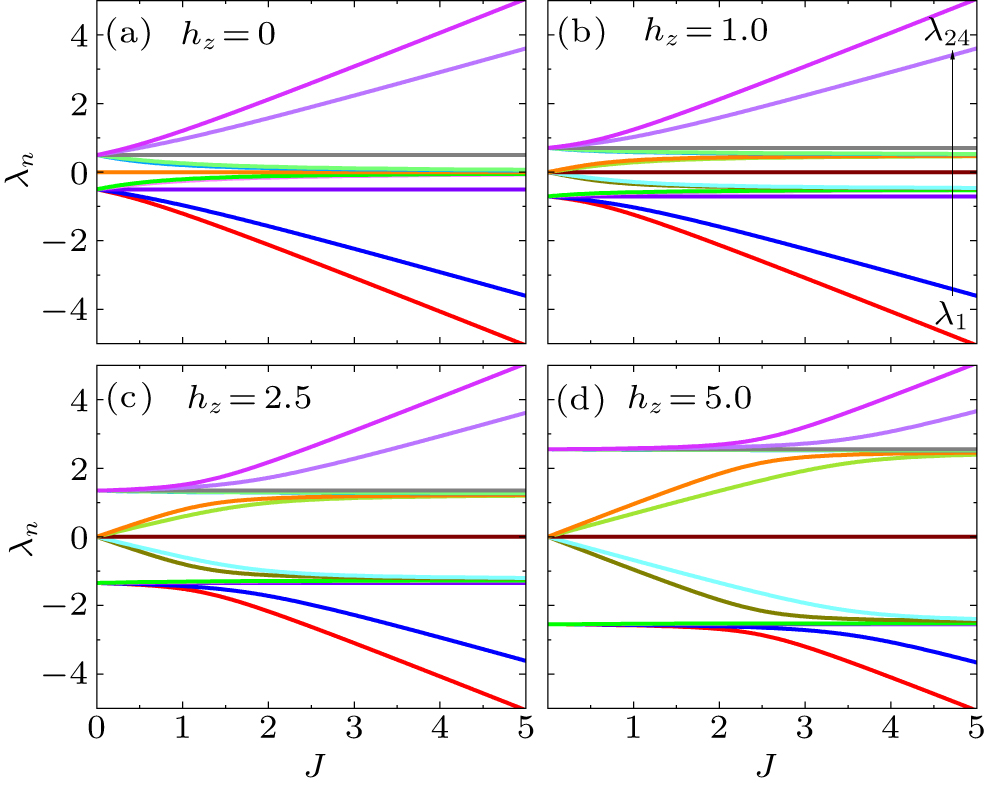 Pattern description of quantum phase transitions in the transverse ...