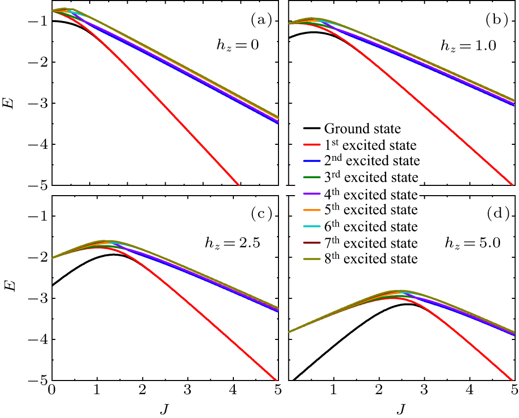 Pattern description of quantum phase transitions in the transverse ...