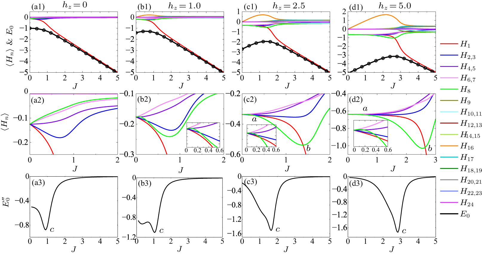 Pattern description of quantum phase transitions in the transverse ...