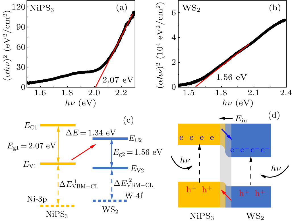 Highly responsive photodetectors based on NiPS3/WS2 van der Waals type ...