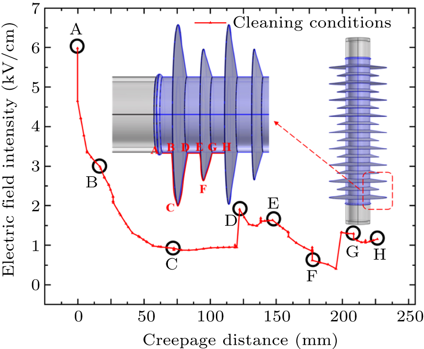Influence of surface contamination on electric field distribution of ...