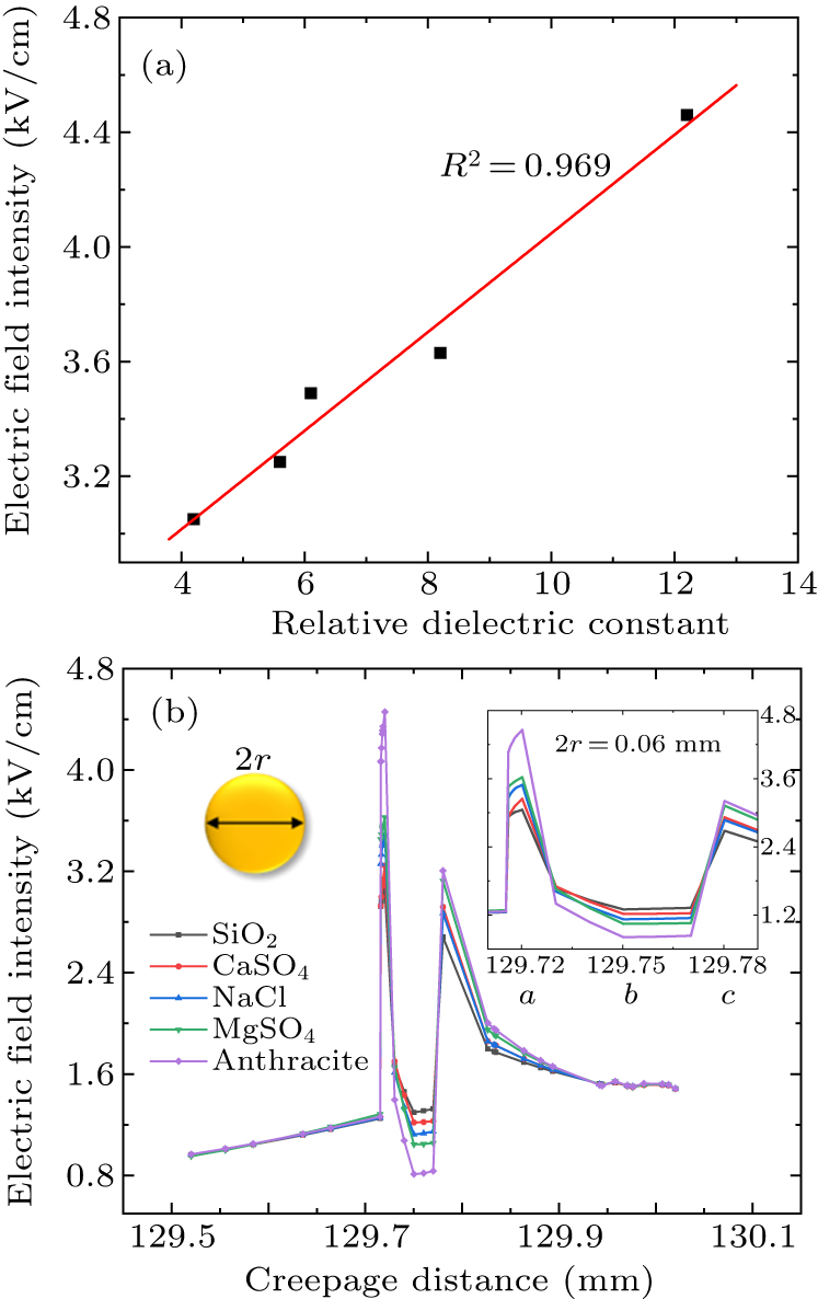 Influence of surface contamination on electric field distribution of ...
